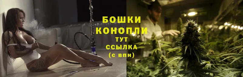 Канабис OG Kush  Саяногорск 